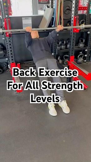 Inverted Rows / Bodyweight Rows