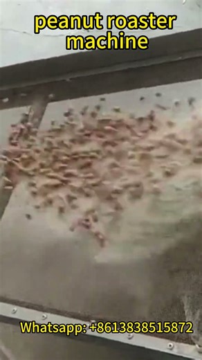 Commercial peanut roaster machine | Peanut roasting machine for processing groundnut