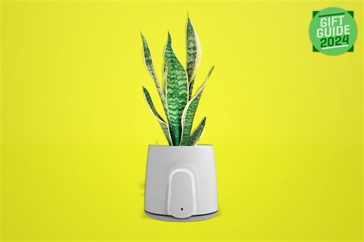 Best eco gifts for Christmas 2024