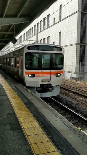 315 Series Train Short Video Collection 486