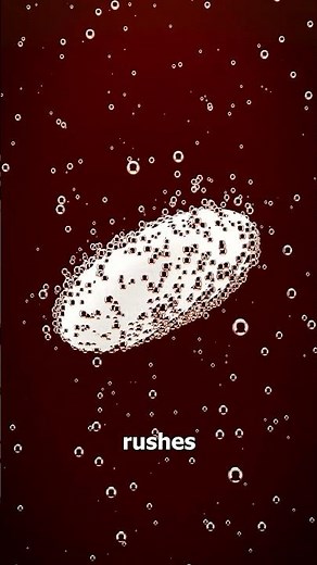 Why Coke And Mentos Explode 🤯