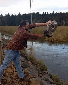 119K views · 295 reactions | Was that log just teleported? 蝹 | Lessons Learned In Life | Facebook