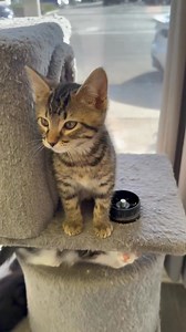 1.5K views · 124 reactions | We are halfway to our #GivingTuesday...