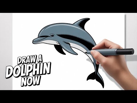 How To Draw a Cute Dolphin Step By Step!