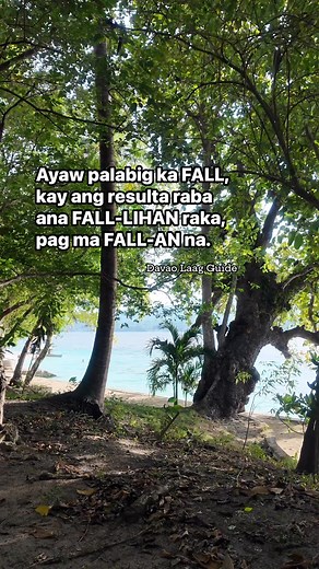 281K views · 6.2K reactions | 藍 #davaolaagguide | Davao Laag Guide | Facebook