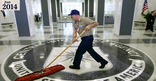 The true story of 'Maya', the CIA analyst who hunted down Osama bin Laden