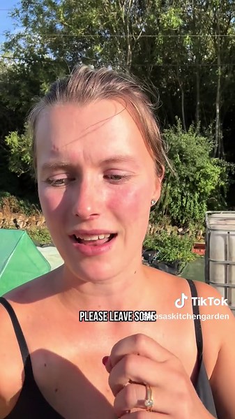 Benefits of Starting a Kitchen Vegetable Garden Today