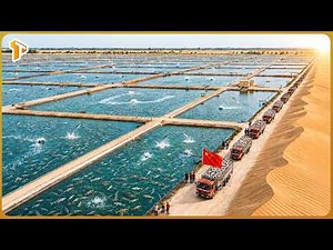 How China Raised Millions of Fish In the World's Hardest Desert