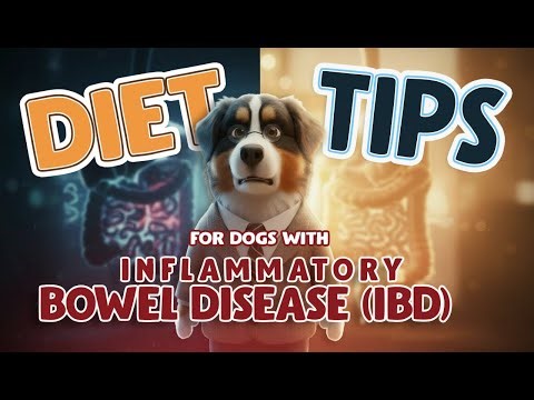 Diet Tips for Dogs with Inflammatory Bowel Disease (IBD)