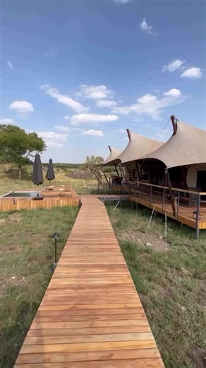 🇹🇿 10 DAYS OF ICONIC SAFARI & BEACH ADVENTURE IN TANZANIA Endless plains, rich culture & tropical island escape 🐘🌴 Day 1 – Arrival in Arusha • Airport meet & greet (Kilimanjaro International Airport) • Scenic transfer to lodge in Arusha with Mount Meru views • Safari briefing & trip orientation • Optional town tour & local craft market visit • Overnight in Arusha Day 2 – Arusha → Tarangire National Park • Scenic drive to Tarangire National Park • Game drive through baobab-dotted savannah • W