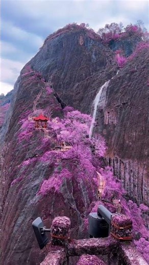 Nature's Beauty in 30 Seconds""Peaceful View You Need Today""Most Relaxing Moment of Nature"