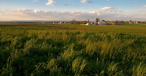 Pennsylvania Agriculture