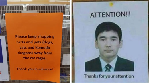 26 Funny And Clever Signs That Will Brighten Your Mood And Day
