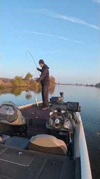 Spotted Bass on a Spinnerbait.