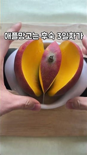 애플망고 예쁘게 자르는 방법!?