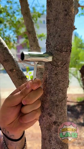 We Ran Express Tests on Viral Hacks ⚙️