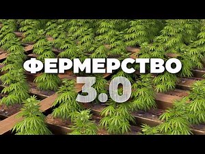 FULL FARMING 3.0 Guide - Genetics, Bees, Chickens [Rust/Rust]