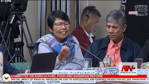 ’ANG MGA MAGSASAKA, NANGUNGUTANG PARA MAKAPAGTANIM’WATCH: The AMIHAN National Federation of Peasant Women laments the government’s plan to provide a P3,000–P5,000 subsidy and two bags of fertilizer to farmers, calling it grossly insufficient—especially as production costs are expected to rise from P60,000 to P90,000 this year.Cathy Estavillio, AMIHAN secretary general and Bantay Bigas spokesperson, told the Senate that farmers actually need a P50,000 support subsidy to cope with soaring fertiliz