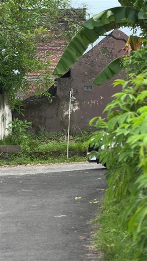 Innova Reborn: Discover the Diesel Enthusiast's Choice