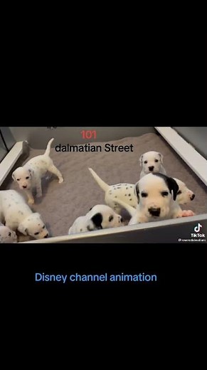 Super Simple Songs X 101 Dalmatian Street Theme Song 🐶🎵 Disney Channel Animation