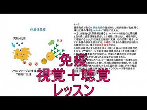 超高速学習（生物基礎）デモ版２
