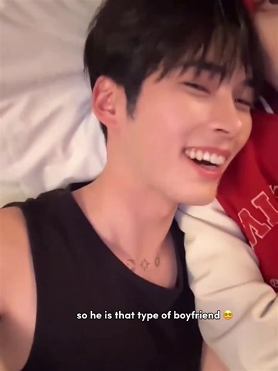 The Cute Nuzzling Cat - Cuddles and Affection Galore