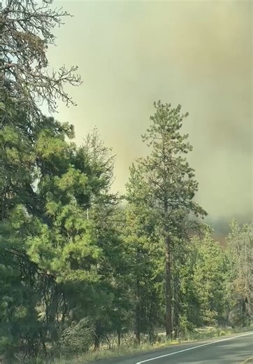 30K views · 228 reactions | Video from the 2,200-acre and growing...