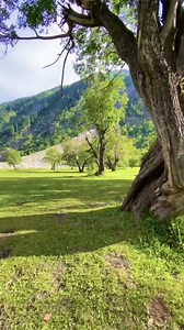 18K views · 601 reactions | Shahi Bagh Swat | Pakistan Travel Guide | Facebook
