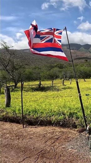 Hawaii State Flag