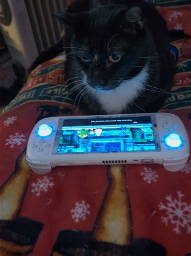 Exploring Nostalgia in Retro Handheld Gaming with Cats