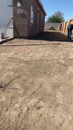 Exploring the LIVE Incentive Program: Benefits and Insights