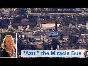 The Miracle Bus - Owner’s story - Part One