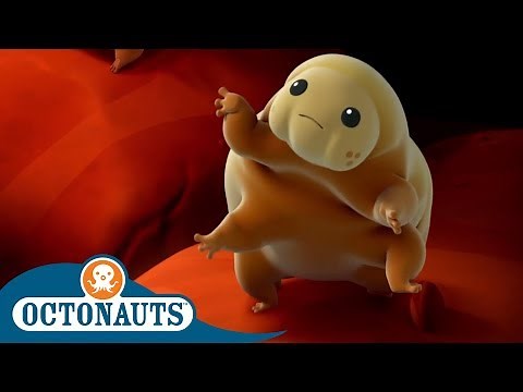 Octonauts - Frank Meets Some New Friends | Cartoons for Kids | Underwater Sea Education