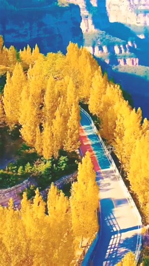 Nature Relaxing View #nature #shorts #beautiful