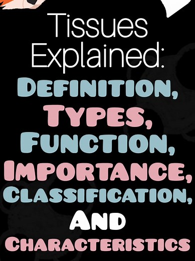 Understanding Tissues: Types, Functions, and Importance