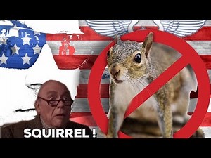 Squirrel Slinger 1 🤣[DIE LAUGHING] as these Squirrels climb aboard for a direct flight Home...🤣