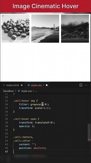 Image Cinematic Letterbox Hover effect HTML and CSS #shorts
