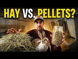 Meat Rabbit Feeding Guide: Hay vs. Pellets