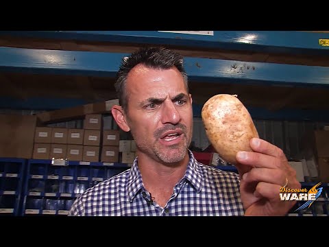 Peeling a Potato with STEAM! - Steam Culture