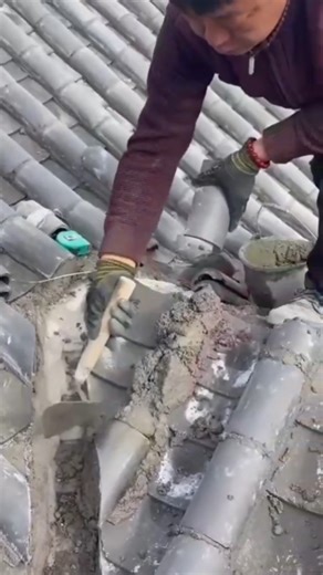 Super Fast Machine cutting down small trees using a metal brush cutter blade