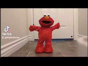 Fisher-Price 2003 hokey pokey Elmo (The original version) (most popular video)