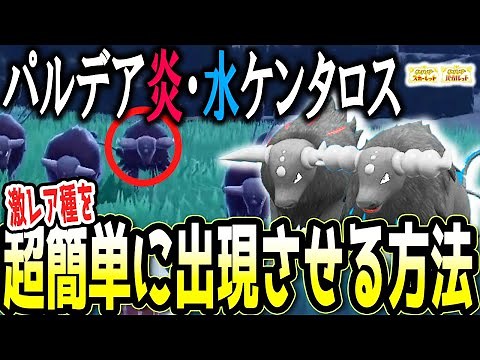 [Comprehensive Guide] Here's How to Instantly Capture the Ultra-Rare Fire/Water Paldea Tauros!!! ...