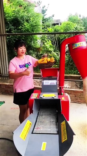 Multifunctional chaff silage alfalfa cutter machine #fyp #fcnfm #farming #chaffcutter #machine