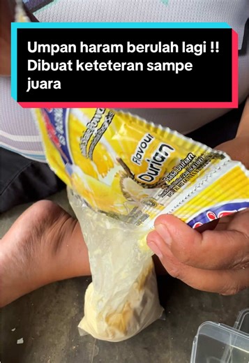 Rekomendasi Umpan Pancing yang Efektif untuk Mancing