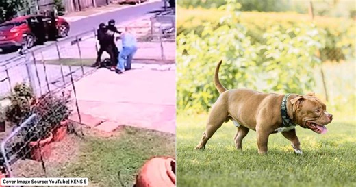 Woman was ambushed by 2 masked attackers after leaving bank—then her dog did the unthinkable