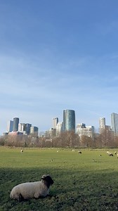 51K views · 459 reactions | One of my favorite walks in London,...