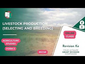 Livestock Production (Selecting and Breeding) | Intro | Agriculture Form 3 Revision KCSE