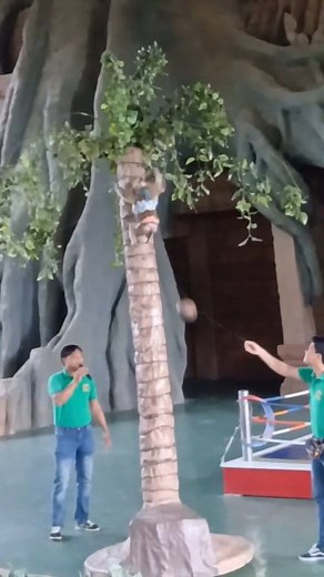 2K views · 16 reactions | #sunnyexplorer #travel #explore #Amazing #show | Sunny Explorer | Facebook