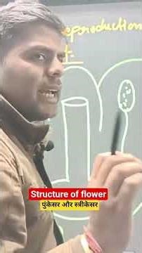 Structure of flower