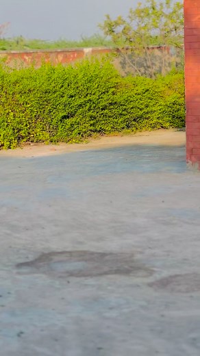 27K views · 3.3K reactions | Talib Rock on Reels | Facebook